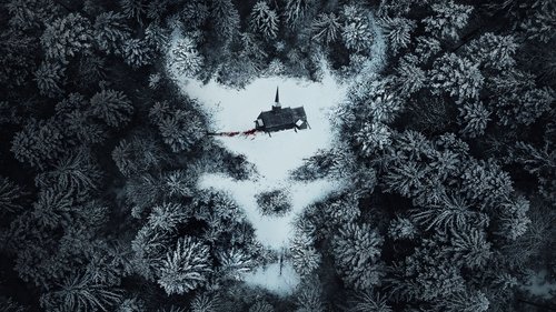 فعالیت ماوراء الطبیعه: خویشاوندان بعدی