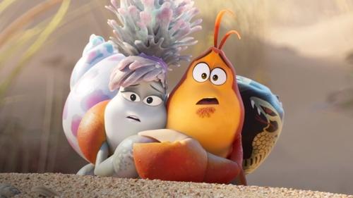 زیر تخته پیاده روی