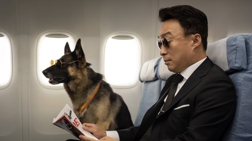 آقای زوو : vip گمشده