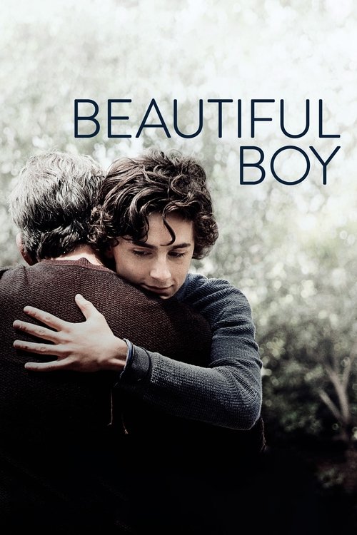 Beautiful Boy 2018