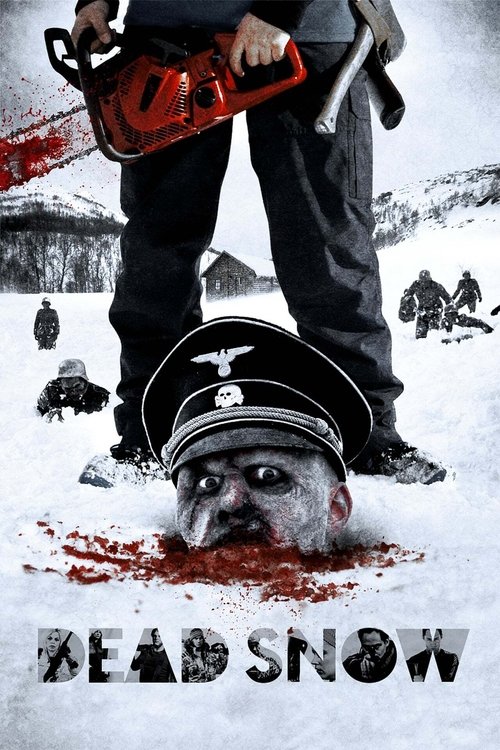 Dead snow 2009
