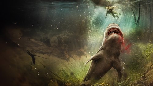 از پایین بترس