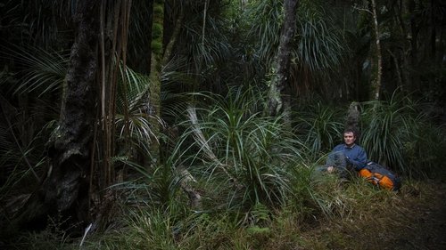 بازگشت به آغاز