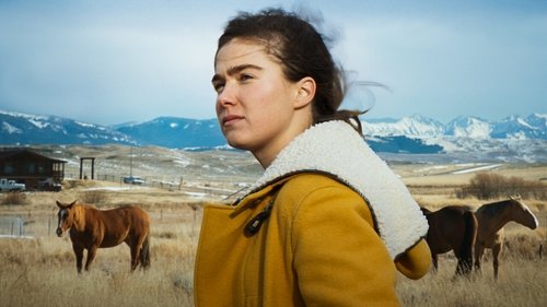 داستان مونتانا