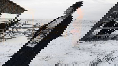 وحشت در دشت