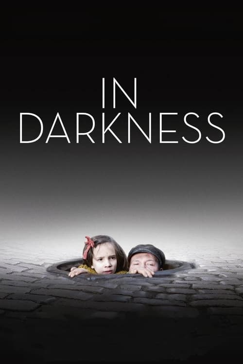 In Darkness 2011