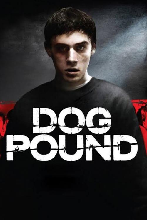 Dog Pound 2010