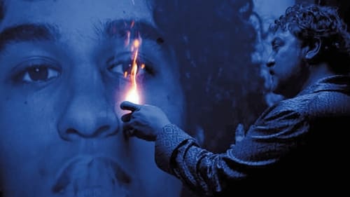 پیتر فون کانت