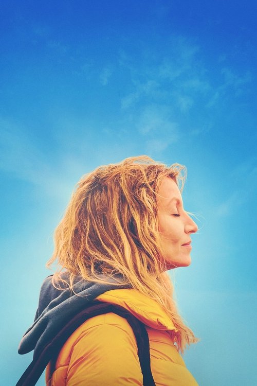 The Book of Wonders 2023