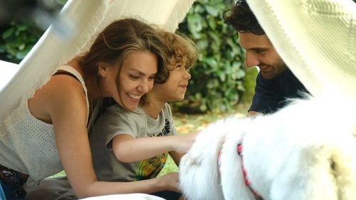 در جایی امن