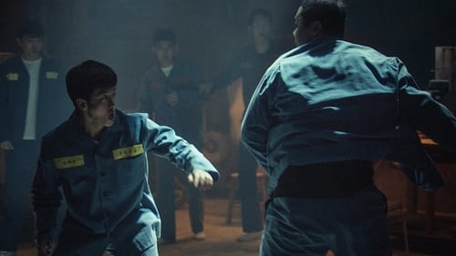 کوسه: سرآغاز