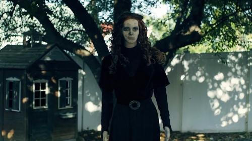 جاده جنگلی 825