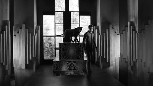 دیابولیک: تو کی هستی