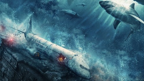 هیچ راهی به بالا نیست