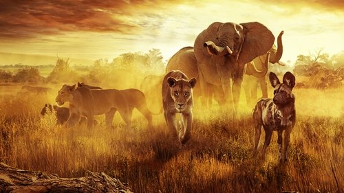 بهشت نجات: یک داستان خانوادگی