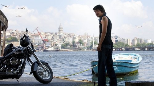 عشق تصادفات را دوست دارد