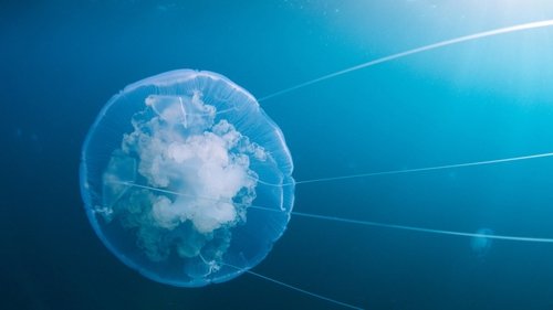 سفر زمان: سفر زندگی