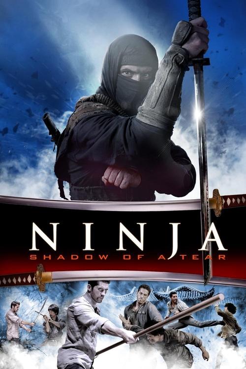 Ninja Shadow of a Tear 2013