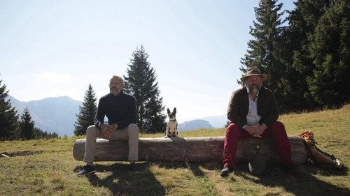 یک دوست عالی