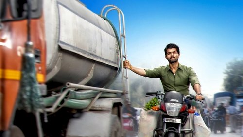 ستاره خانواده