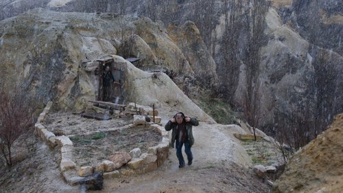 خواب زمستانی