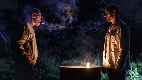 ببرها و کفتارها