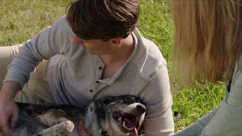 الکس و فهرست