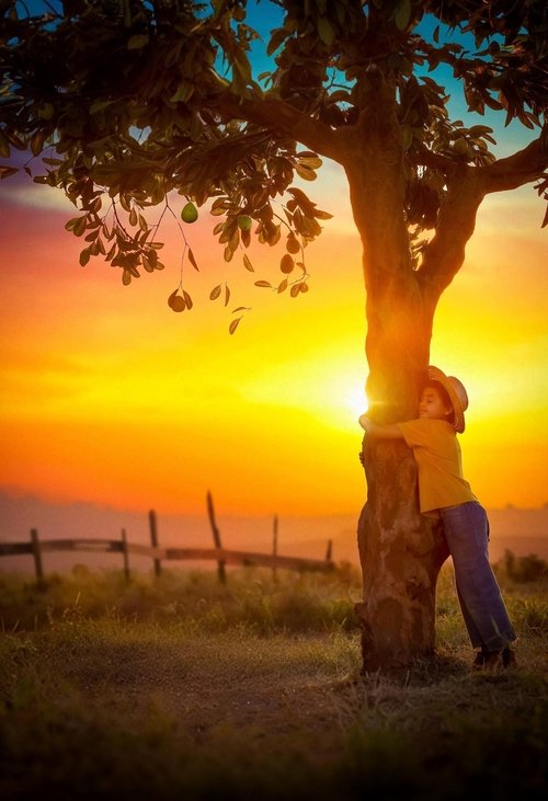 Chico Bento e a Goiabeira Maraviósa 2024