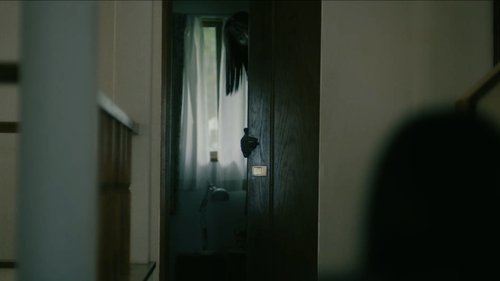 خانه سایوری