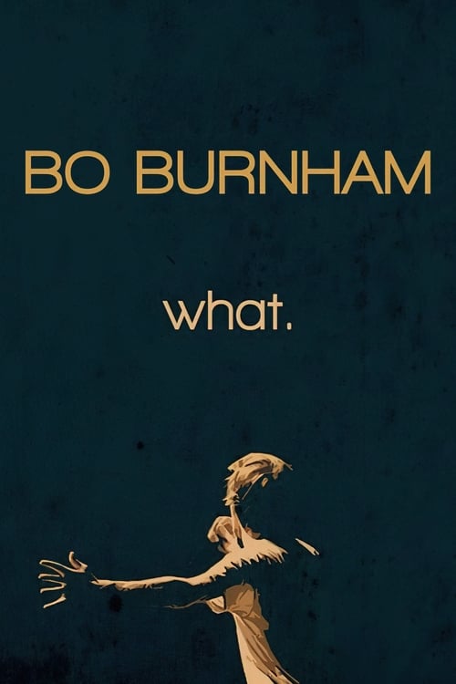 Bo Burnham: what. 2013