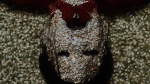 خانه پروانه