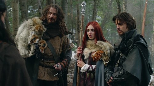 مایتیکا دارکسپور