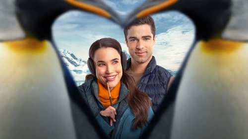 قطب های متضاد