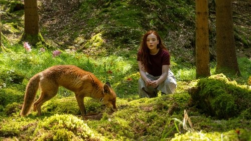 دختری به نام ویلو