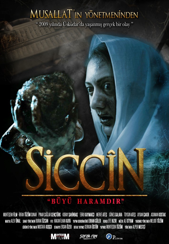 Siccin 1 2014