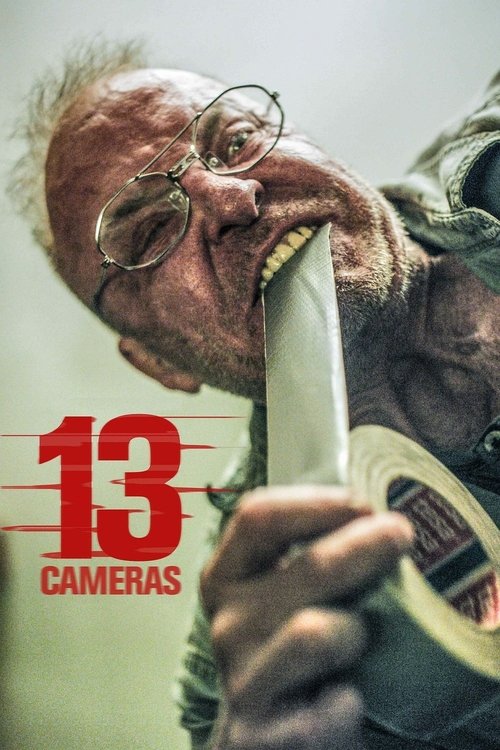 13 Cameras 2015