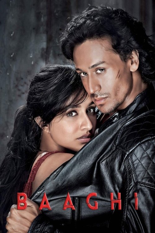 Baaghi 2016