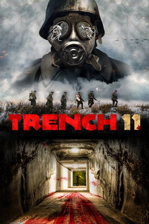 Trench 11 2017