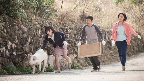 خواهر من، خانم خوک