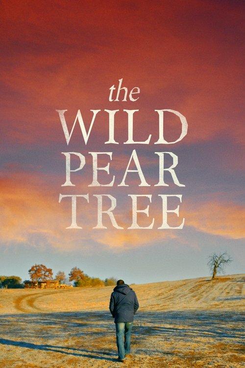 The Wild Pear Tree 2018