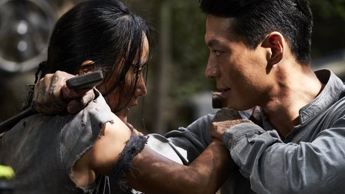 انتقام گیرنده