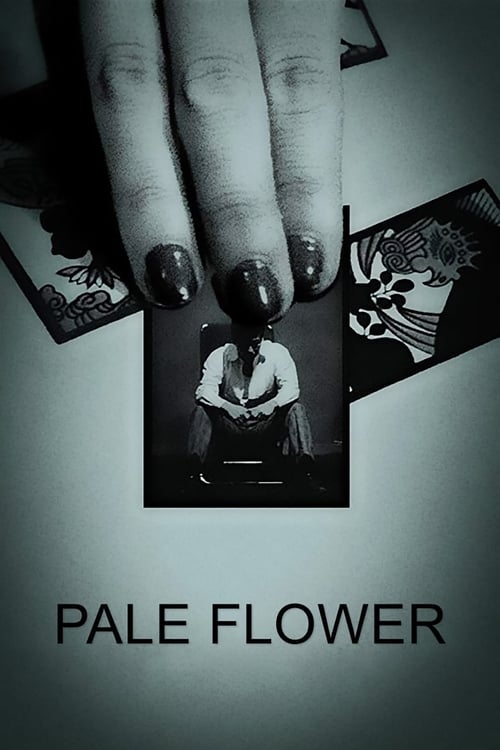 Pale Flower (Kawaita Hana) 1964
