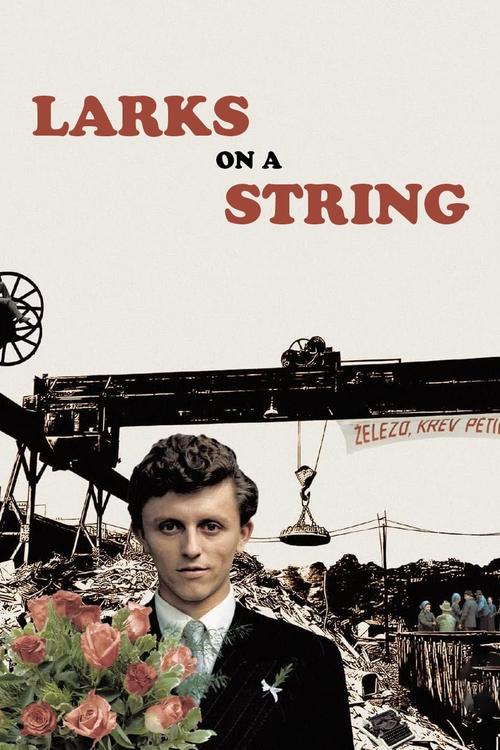 Larks on a String 1969