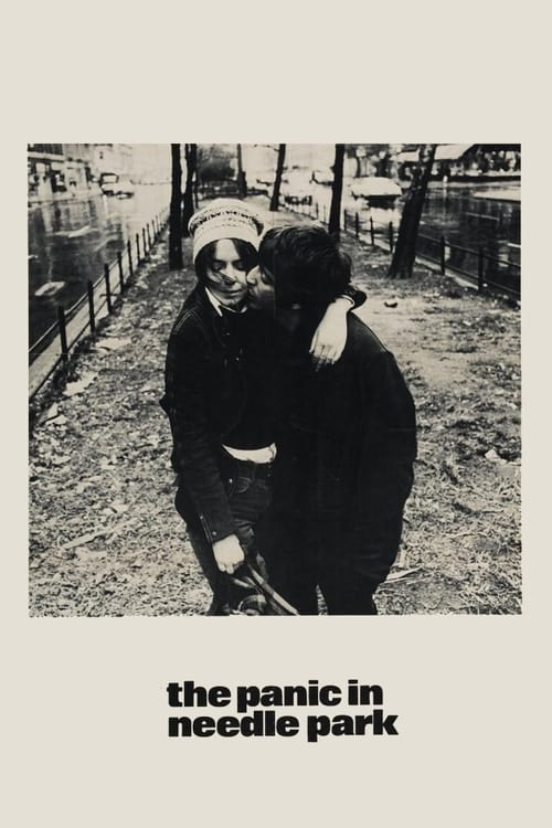 The Panic in Needle Park  1971