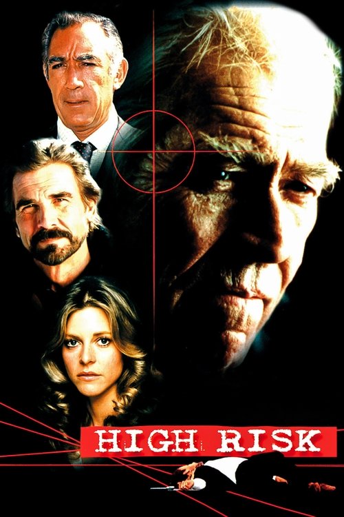 High Risk 1995