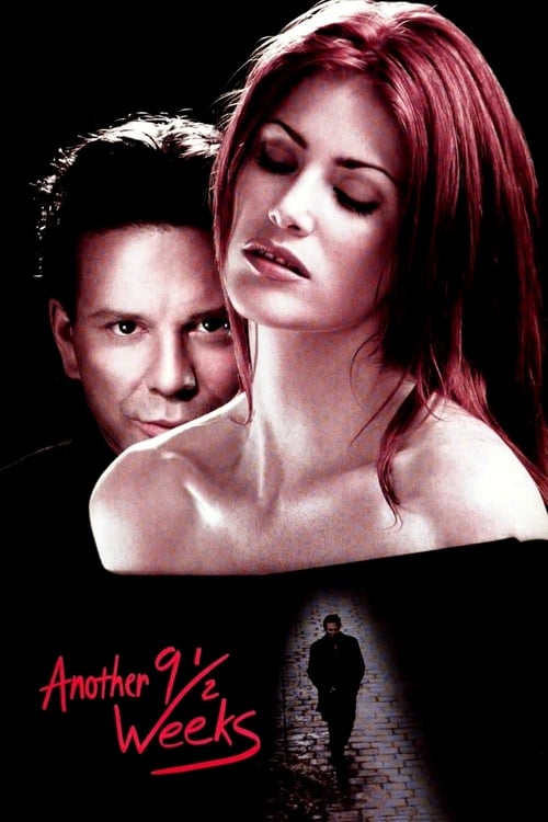 Another 9½ Weeks 1997