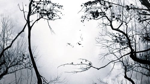 اخطار قبلی