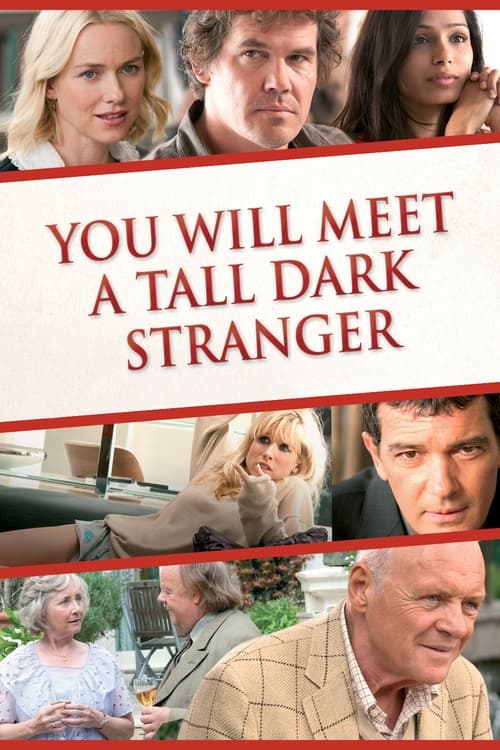 You Will Meet a Tall Dark Stranger 2010