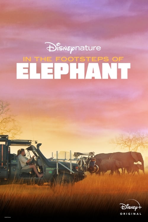 In the Footsteps of Elephant 2020