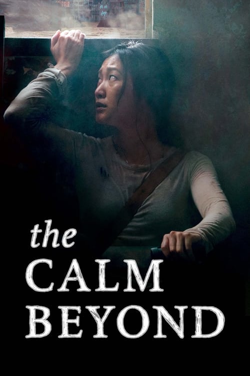 The Calm Beyond 2020